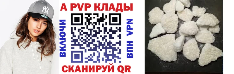 Купить закладки  Новоржев  Alpha-PVP СК КРИС 
