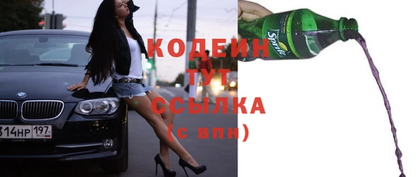 гидра Костерёво