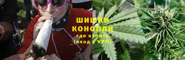 гидра Костерёво